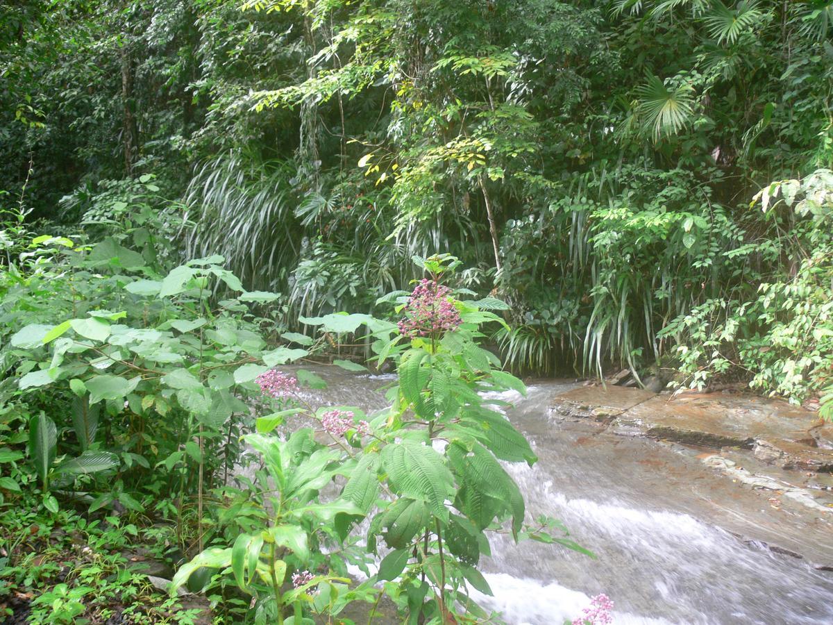 Waterfall Villas Baru Buitenkant foto